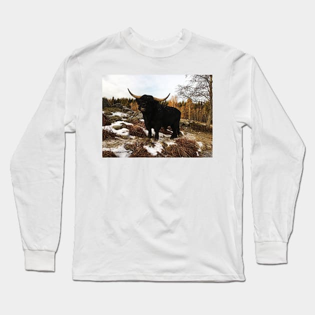 Scottish Highland Cattle Black Bull 2254 Long Sleeve T-Shirt by SaarelaHighland